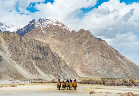 Ladakh with Hanle, Umling La & Aryan Valley (Advanced)